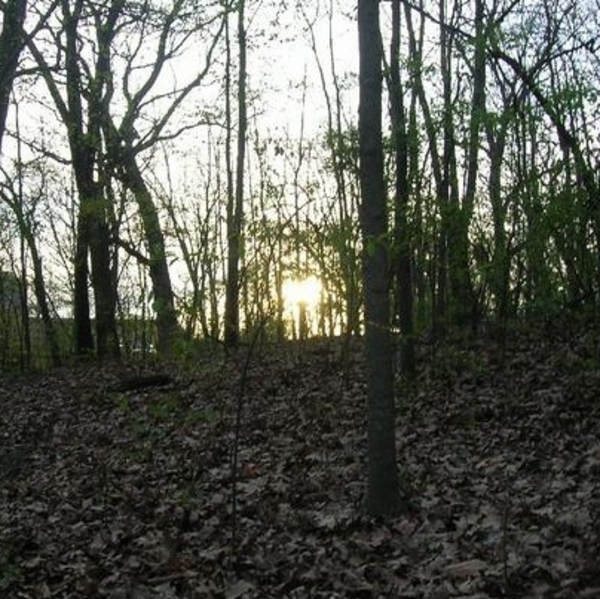 Product picture Valerie Diane- Ill Find Peace