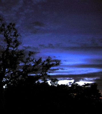 Product picture Valerie Diane- Speechless